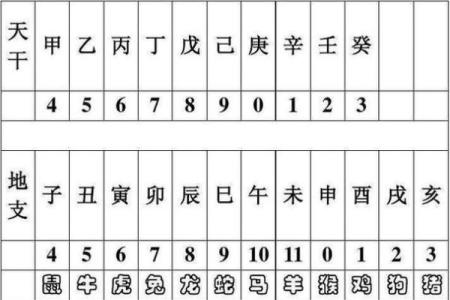 天干地支换算器使用指南及应用技巧