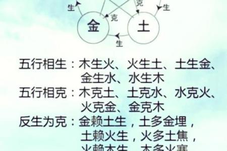 天干与地支的神秘关联解读