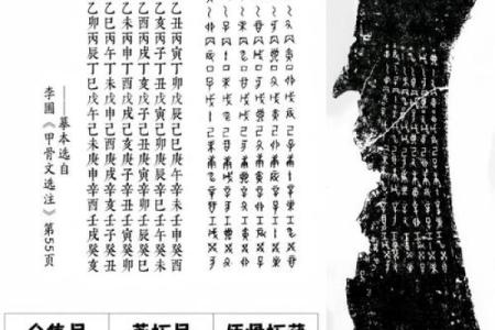 天干地支转换工具助你轻松解读日期