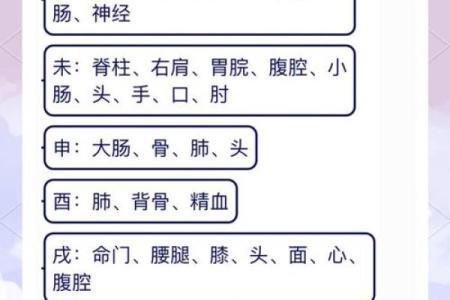 探索北方天干在传统命理中的应用