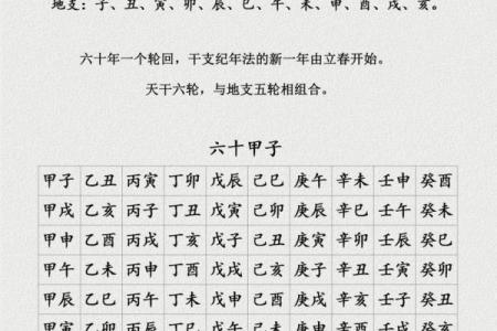 辛酉年：天干地支与个人命理的深度关系