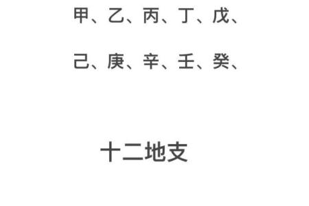 十大天干在命理中的象征意义与影响