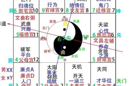 紫微天干四化解析：揭示命理中的四大变化规律