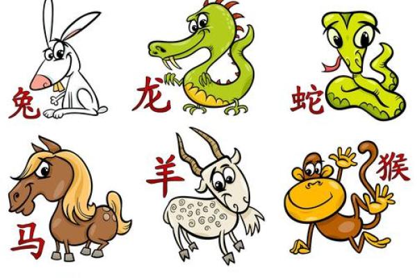 生肖大揭秘：鼠狗搭配，完美和谐