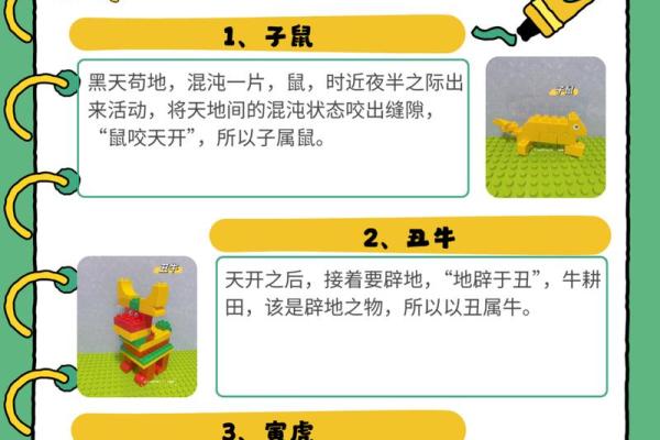 生肖大揭秘：鼠狗搭配，完美和谐