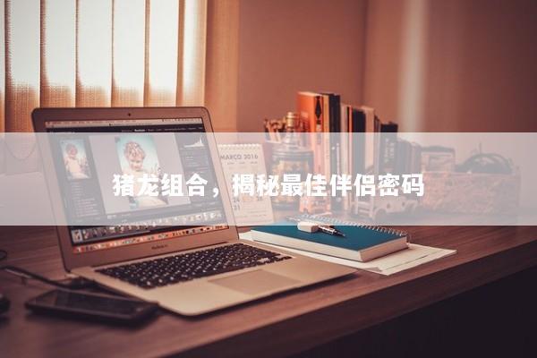 猪龙组合，揭秘最佳伴侣密码