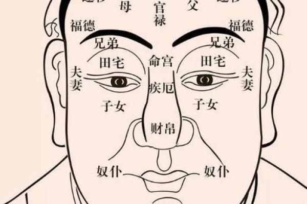 面相揭秘：揭秘那些成功人士的运势密码