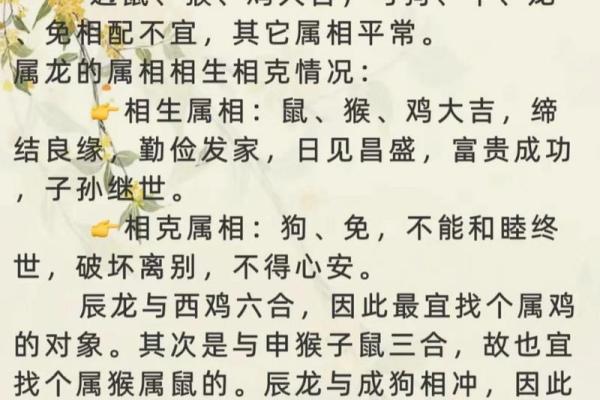 狗鼠相配，揭秘生肖搭配之谜