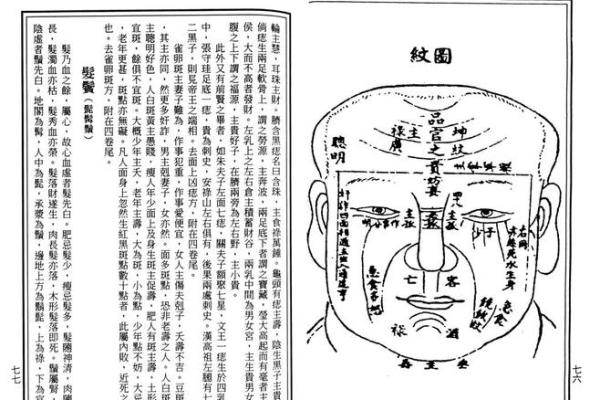 面相金镂：揭秘五官之间的财富密码