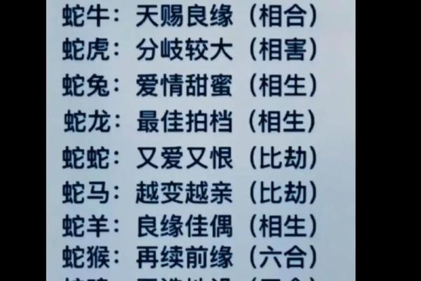 马年生肖配对，快来看看你的命中注定