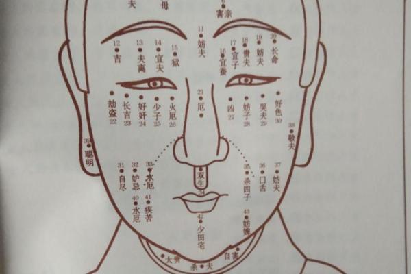一图看尽女人私密痣相，揭秘神秘性感密码