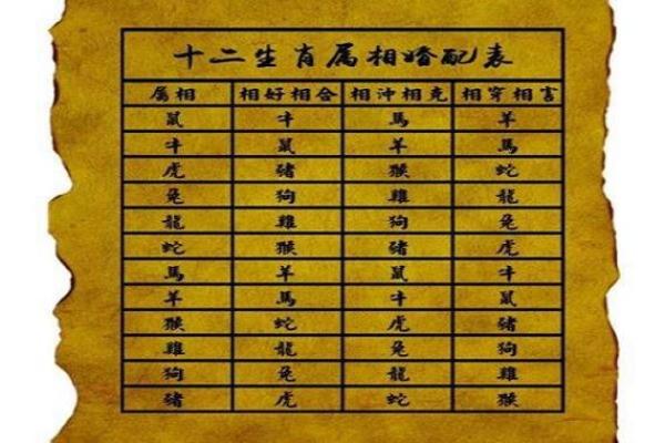 蛇猴配对，天生一对？揭秘生肖相配之谜