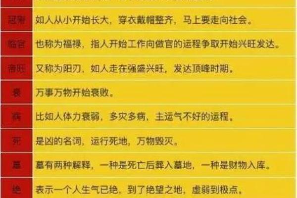 戊戌是甲子什么命？揭秘神秘生肖命理