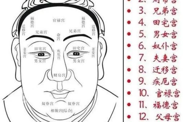周也面相揭秘：一眼识人，掌握命运密码