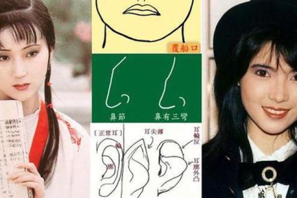 耳型透露人生运势，揭秘面相中的神秘密码