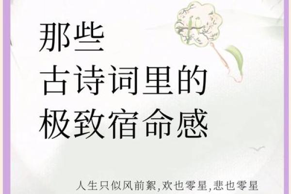 命理玄机与诗词韵味的完美融合