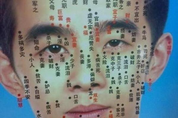 鼻子左边痣：预示着非凡人生的神秘符号