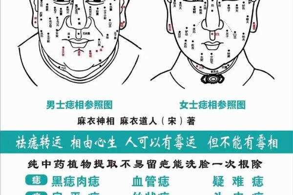 痣相学大揭秘：揭秘杀子小人的神秘面纱