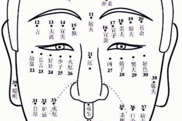 痣相解码：男子面部痣相大全览秘籍