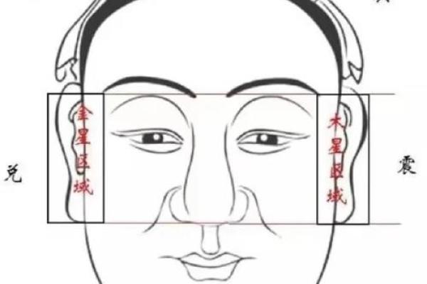 揭秘花心萝卜面相：一眼看穿你的桃花运势