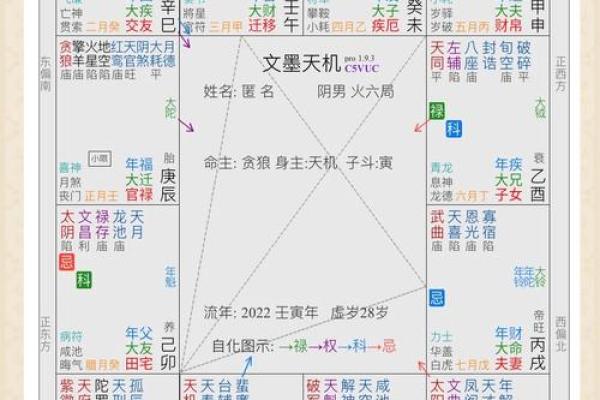 精准预测未来！如何使用紫薇斗数排盘工具洞察命运轨迹