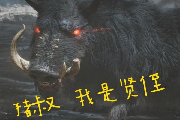 揭秘：土猪命，究竟隐藏着怎样的命运之谜？