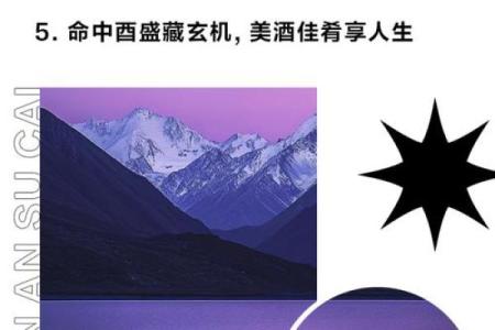 命理玄机与诗词韵味的完美融合
