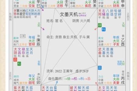 精准预测未来！如何使用紫薇斗数排盘工具洞察命运轨迹