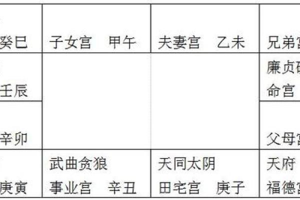 在线紫微斗数排盘收费合理吗？看专家如何解答你的疑惑