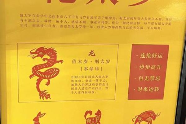 孩子的命盘格局揭秘：揭秘命运之谜的神奇解码