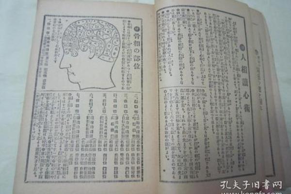 探索朱荣命理：如何利用命理学破解人生难题