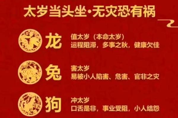 面相秘术：柔美面容，财运亨通的秘密