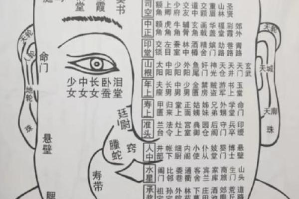 眼皮磕破揭示面相奥秘：财运、健康一网打尽