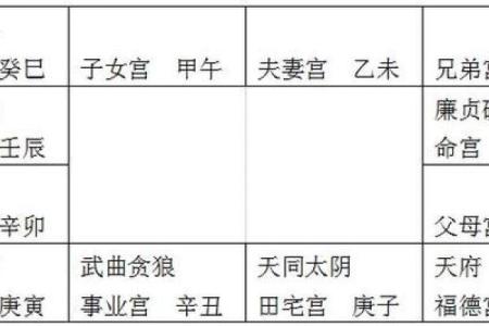 在线紫微斗数排盘收费合理吗？看专家如何解答你的疑惑