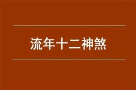 日本市场的命理需求大揭秘，创业者如何抓住机遇