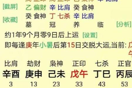 辛卯命：揭秘你的财运密码，财运亨通的秘密在这里
