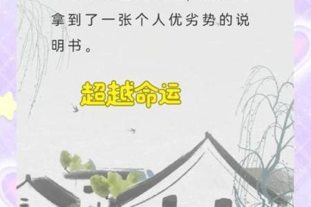 数字八字解析：你的命运与数字之间的千丝万缕