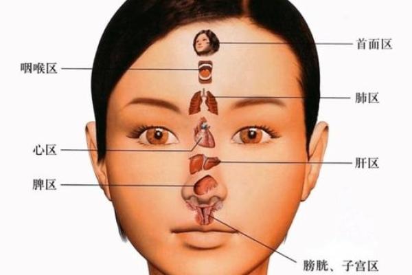 揭秘面相密码：美丽容颜背后的运势秘密