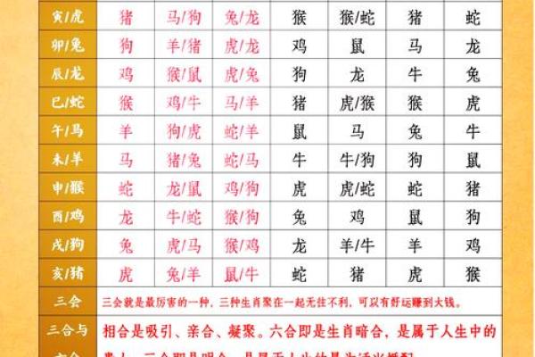 惊艳组合男猴女马，婚姻配对大揭秘