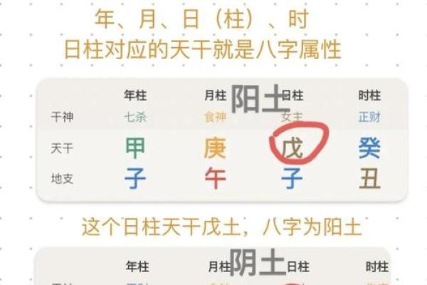 八字元亨排盘全解析：掌握命理，改变人生