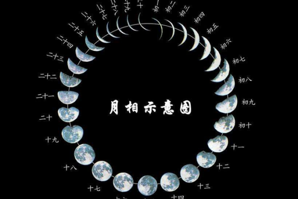 震撼揭秘：阴历数字命理如何影响你的每一个选择