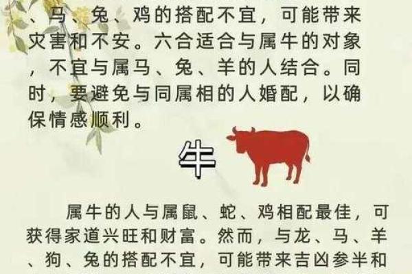 属相配对大揭秘，免费帮你找到真爱