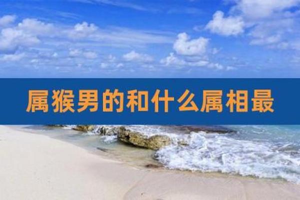 属狗女与属猴男：揭秘最佳伴侣？
