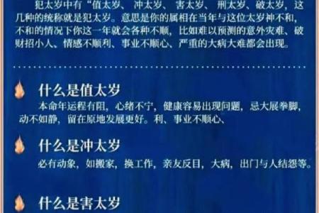木命人生：揭秘何时出生的你拥有最旺盛的木气运势
