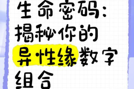 命理灵数揭示你人生中的成功密码