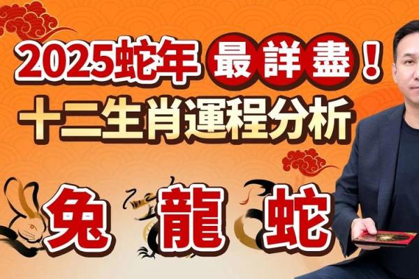 龙蛇配对：揭秘属龙与属蛇的完美姻缘