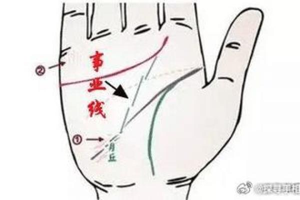 女性脖子面相：命运线还是事业线？揭秘女性命运走向的秘密