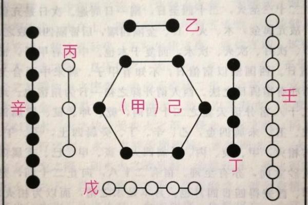 破解天干凤凰的奥秘，开启好运之门
