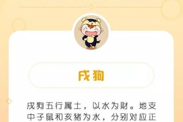 床铺位置大揭秘：命理大师教你如何选择床位
