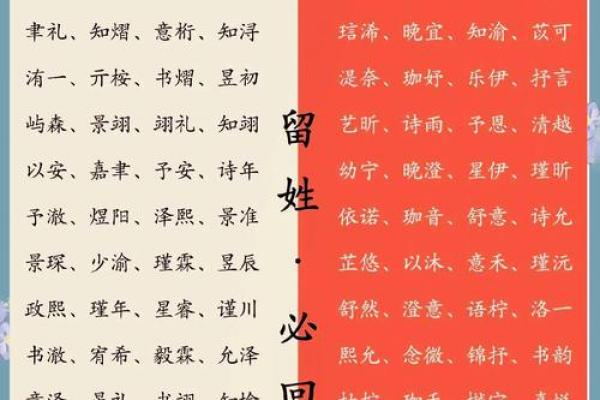 从零开始 儿童教育公司起名的实用技巧